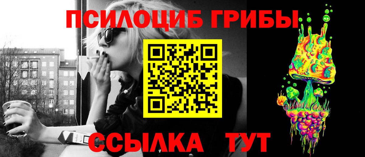 Псилоцибиновые грибы Cubensis  Вход с VPN  Энгельс  Псилоцибиновые грибы Psilocybine cubensis 