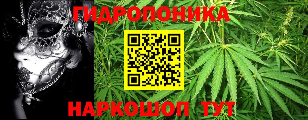 МАРИХУАНА индика Энгельс